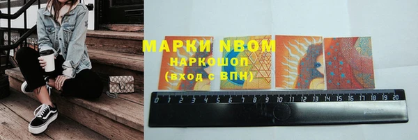 крисы Белокуриха