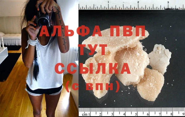 крисы Белокуриха