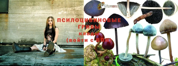 прущая мука Белоозёрский