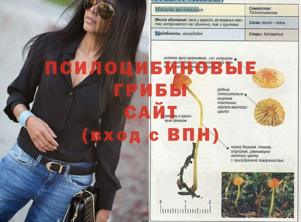 кокс Жердевка
