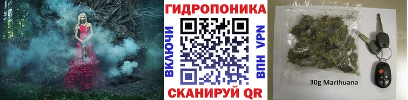 Бошки Шишки конопля где можно купить Облучье